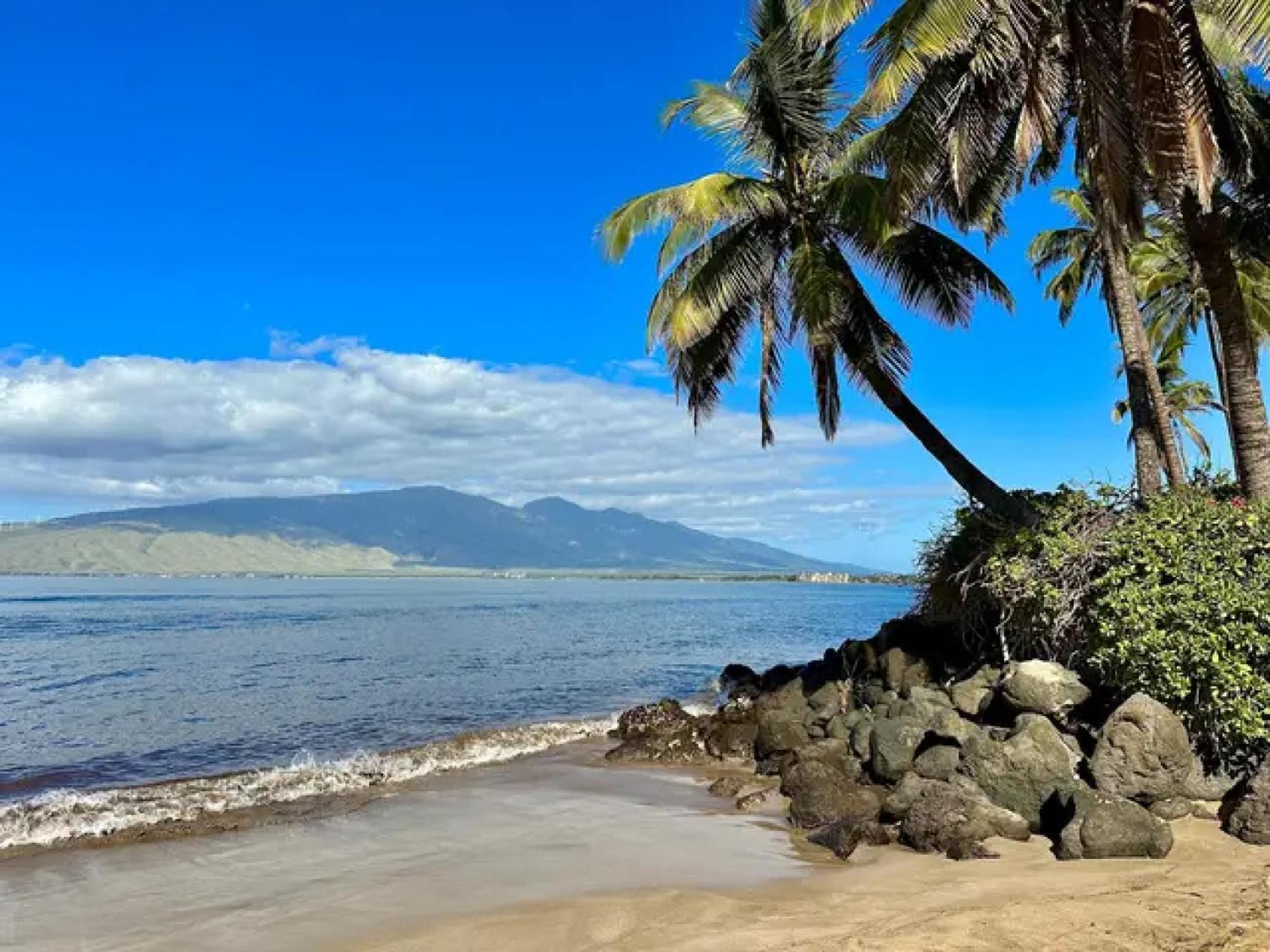 Cozy Maui Studio Retreat Just Steps To The Sand! คิเฮอิ ภายนอก รูปภาพ